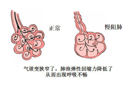 &#20048;&#40060;&#32593;&#39029;&#29256;&#45;&#20048;&#40060;&#40;&#20013;&#22269;&#41;&#23448;&#26041;