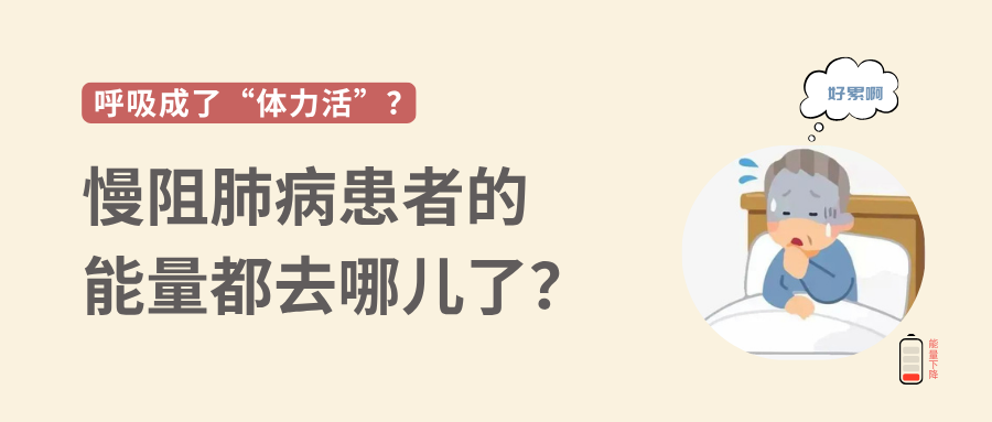 &#20048;&#40060;&#32593;&#39029;&#29256;&#45;&#20048;&#40060;&#40;&#20013;&#22269;&#41;&#23448;&#26041;